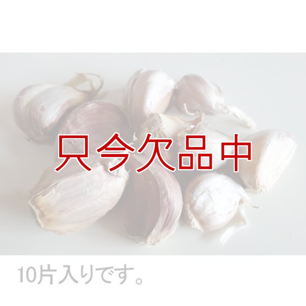 赤丸にんにく｜種子用大蒜｜りん片10球入