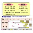 てまいらず｜リビングマルチ用 大麦