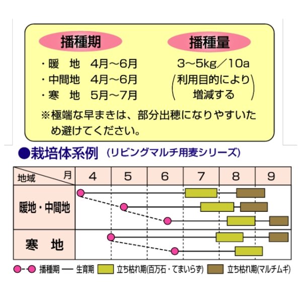 てまいらず｜リビングマルチ用 大麦