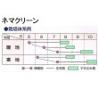 画像10: ネマクリーンのタネ【100g】【送料無料】【時間指定不可】 (10)