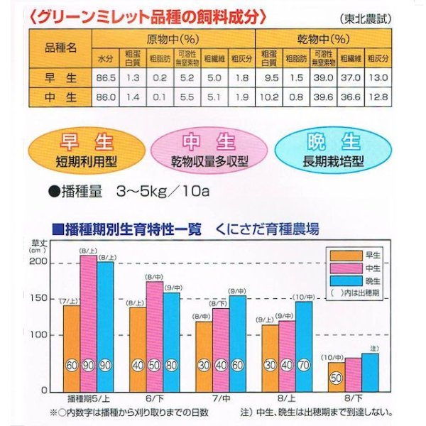 画像8: [値下げ]【緑肥・牧草種子】グリーンミレット｜ヒエ【中生（乾物収量多収）】【1kg】カネコ種苗製 (8)