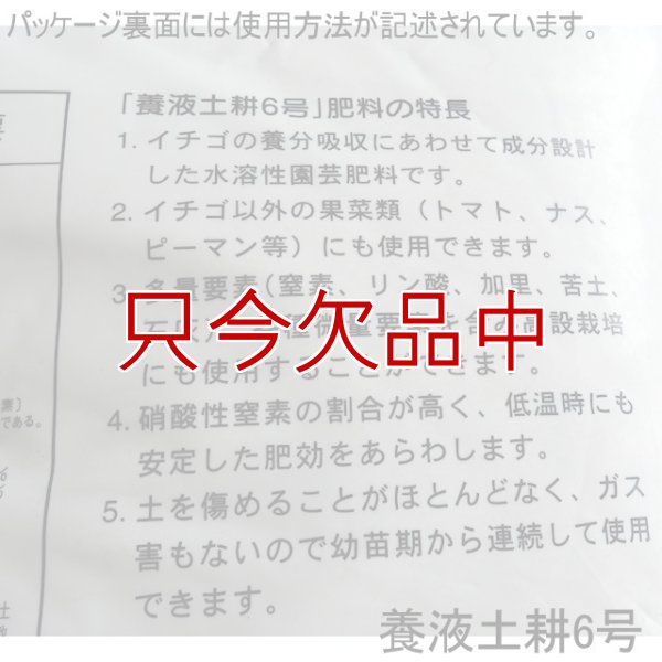 イチゴ向き-養液土耕6号