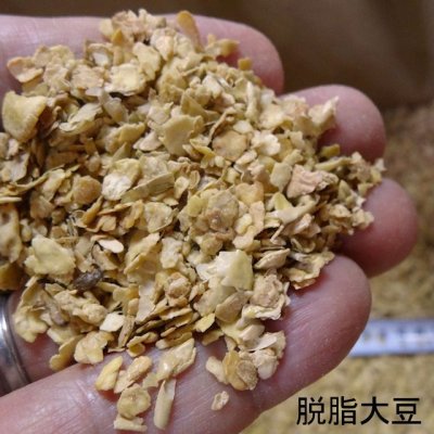 画像1: （大豆ミール）大豆油かす（N7-P1-K1）100％天然有機肥料【2kg / 約4L】