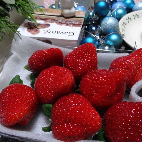 画像4: キトサン溶液【20kgx5個】【送料無料】【陸送地域のみ】【日祭日の配送および時間指定不可】 (4)