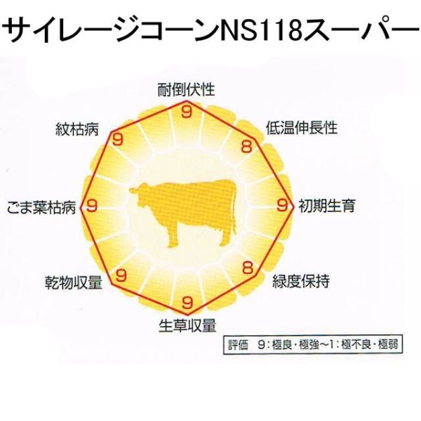 サイレージコーン|飼料用トウモロコシ(中早生種)|NS118スーパー