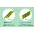 画像3: [値下げ]【個人宛配送OK】グリーンパイル スモール（17-10-10）【100g/70本/箱】業務用-棒状-樹木専用打込肥料【時間指定OK・夜間OK・離島OK】 (3)