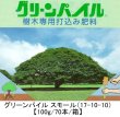 画像1: [値下げ]【個人宛配送OK】グリーンパイル スモール（17-10-10）【100g/70本/箱】業務用-棒状-樹木専用打込肥料【時間指定OK・夜間OK・離島OK】 (1)