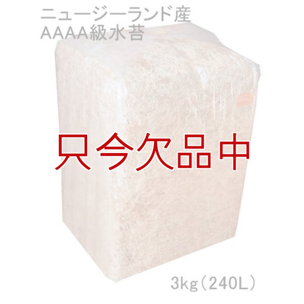 ニュージーランド産ミズゴケ[AAAA級]【3kg（240L）】