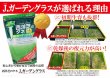  J.ガーデングラス（芝生の種）