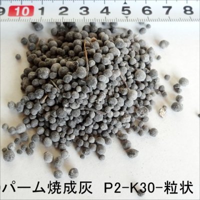 画像1: 粒状 パーム焼成灰（P2-K30）【2kg】安価でお手軽なカリウム肥料-パームアッシュ
