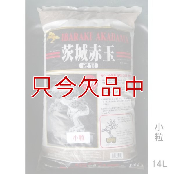二本線赤玉土（茨城産硬質）小粒