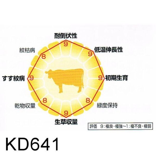 画像6: [2026年4月以降の出荷品]【新品種・牧草種子】ゴールドデント｜KD641[RM114] 3500粒/約500平方ｍ分｜茎葉・子実のバランスがよい品種｜カネコ種苗製 (6)