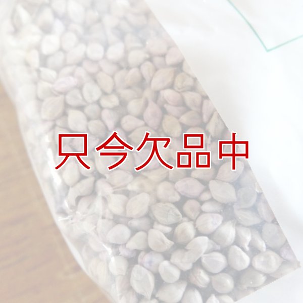 グリーンミレット