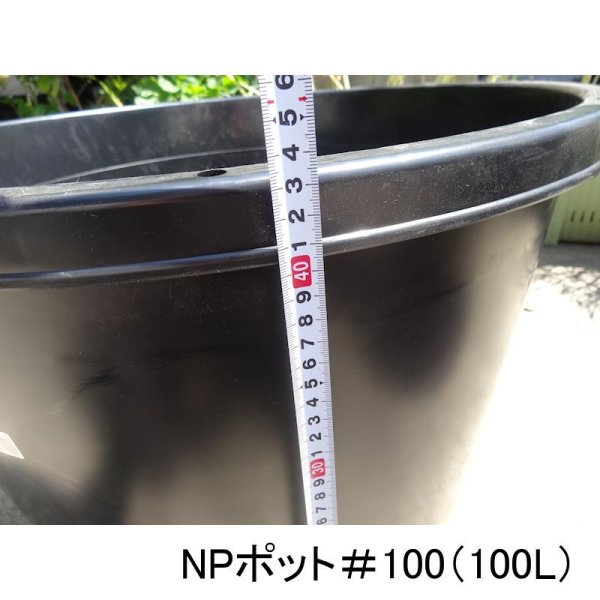 NPポット(100L)