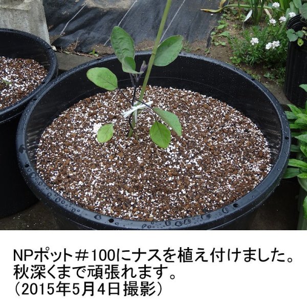 NPポット(100L)