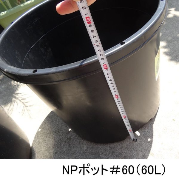 NPポット(60L)