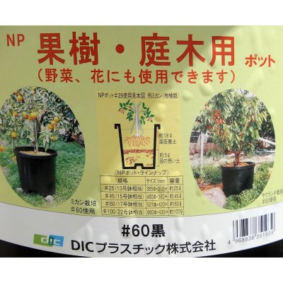 画像3: 【大型鉢】NPポット（60L）-ブルーベリー、果樹に最適な大型コンテナ