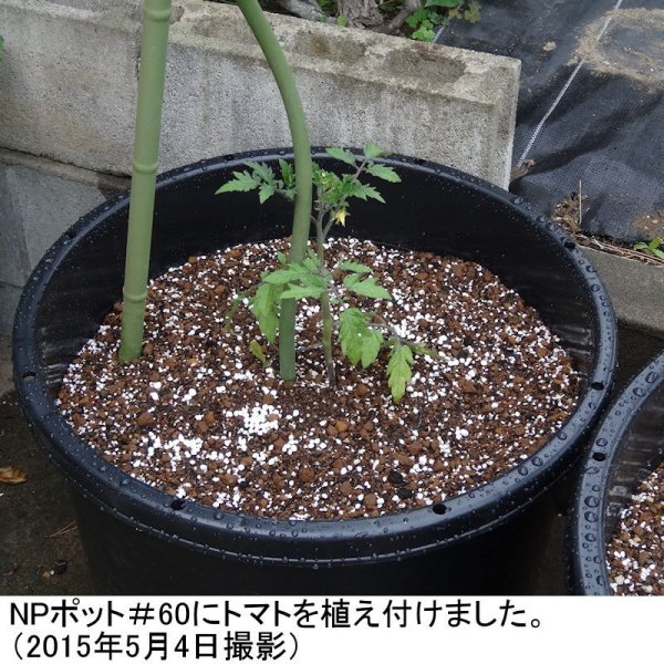 NPポット(60L)