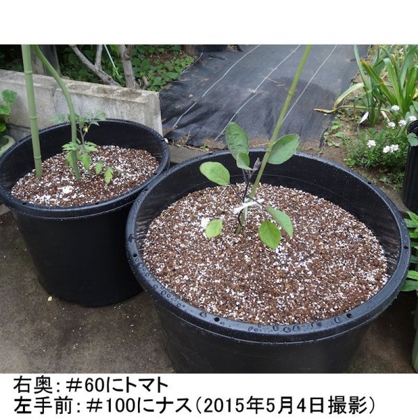 NPポット(60Lまたは100L)