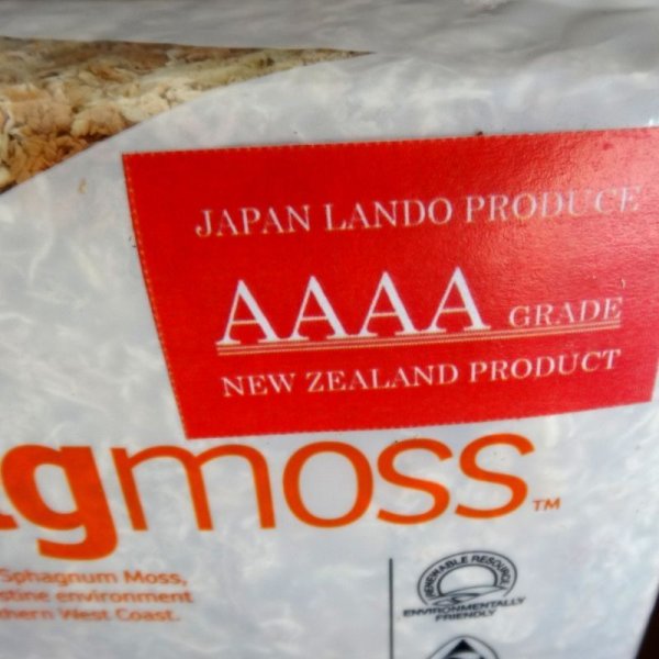 ニュージーランド産ミズゴケAAAA級【150g(12L)】