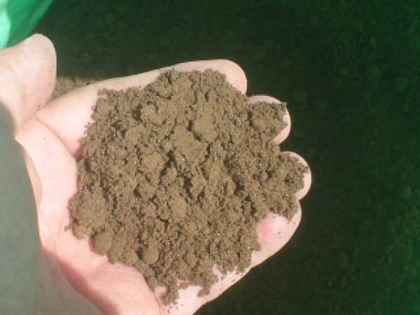 ミネラルこんぶ（発酵海藻）