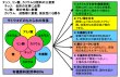 有機液体肥料-サトウキビのちから水６３３（N6-P3-K3）【1L】