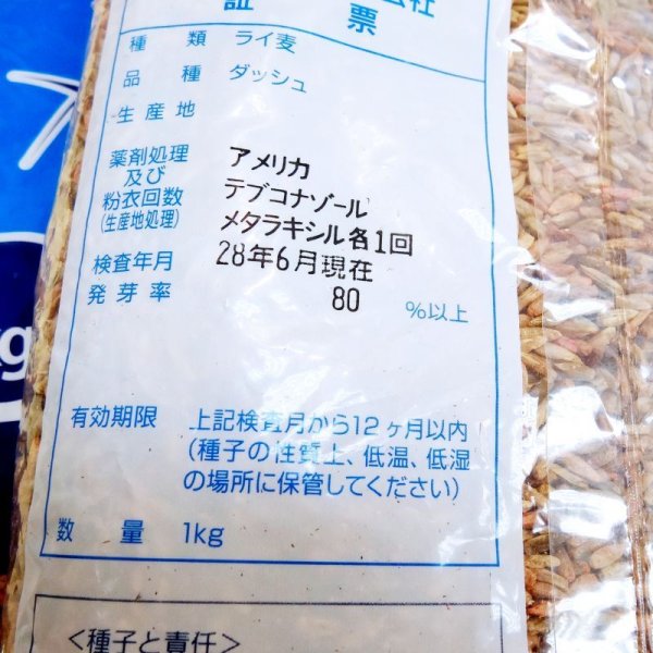 ライ麦ダッシュ