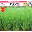 ライ麦ダッシュ