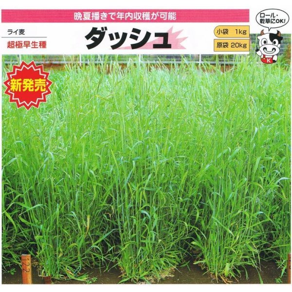 ライ麦ダッシュ