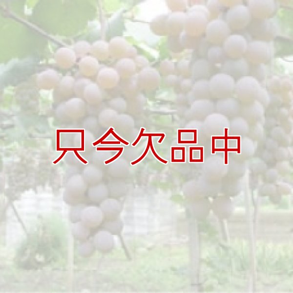 画像5: ダーウィンFC100【1kgｘ10入り / 箱】カルシウム葉面散布剤【有機JAS適合資材】 (5)