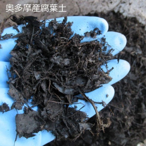 国産-腐葉土【45L】100%広葉樹の完熟腐葉土【東京-奥多摩産】