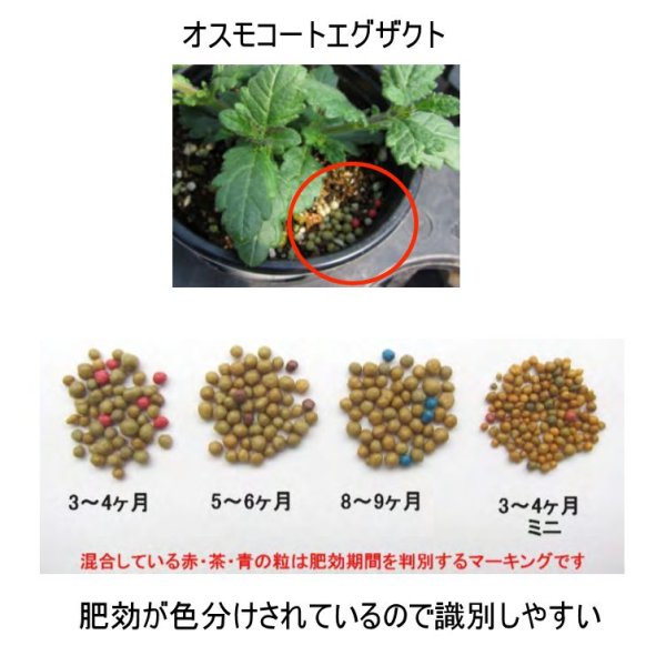 【肥効5-6ヶ月】オスモコートエグザクト（N15-P9-K12）ハイエンド【25kg】2段階溶出型コーティング肥料