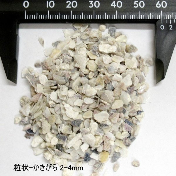 粒状-牡蠣殻石灰【2-4mm】【2kg】