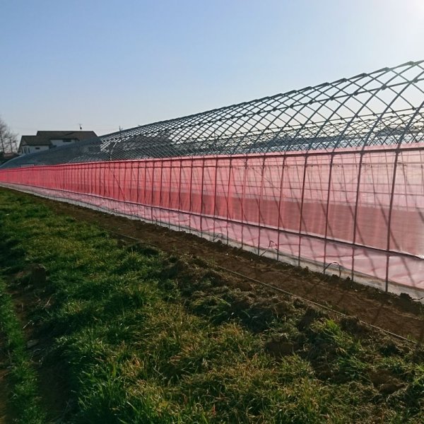 サンサンネットクロスレッドXR 2700-目合0.8mm｜幅1.5mｘ100m【送料無料】【日祭日の配送および時間指定不可】