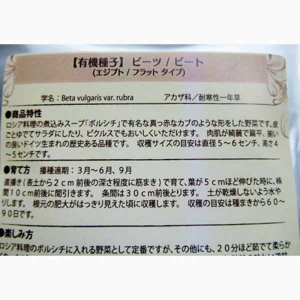 【有機種子】ビーツ/ビート エジプト/フラットタイプ【大袋1dl/粒数目安：3420粒】Red Beet : Egyptian / Flat Round Type