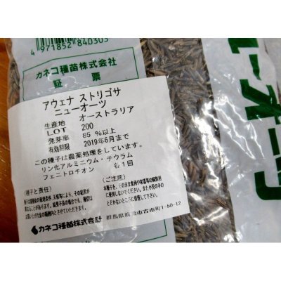 画像1: 【牧草種子】アウェナストリゴサ｜ニューオーツ【早生種】飼料作物【1kg】カネコ種苗製