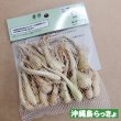 縄 島らっきょ【100g】沖縄健康野菜（栽培用種球