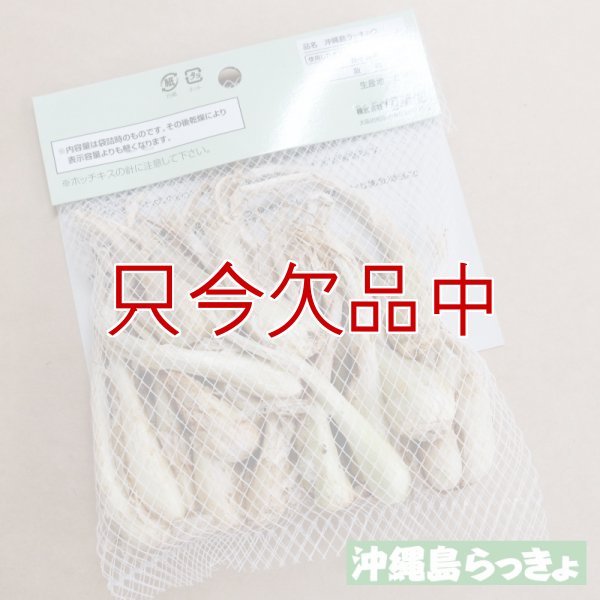 縄 島らっきょ【100g】沖縄健康野菜（栽培用種球