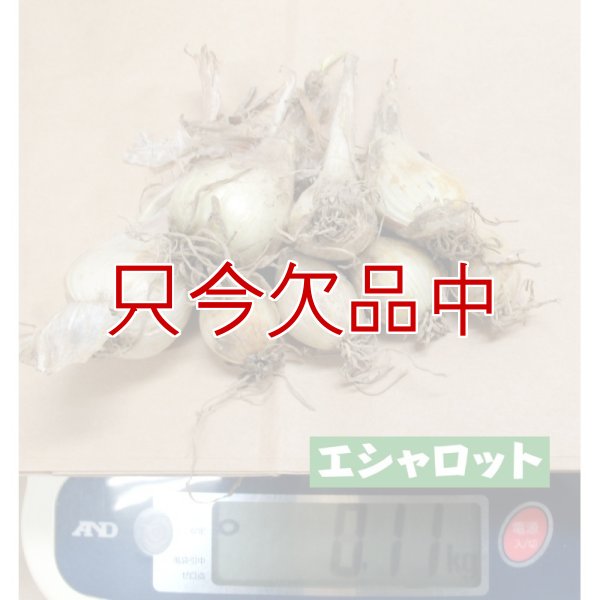 エシャロット（生食用ラッキョウ）
