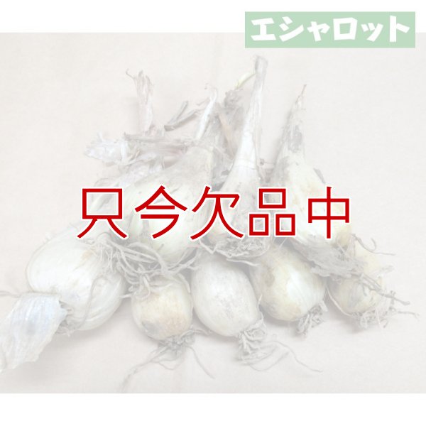 エシャロット（生食用ラッキョウ）