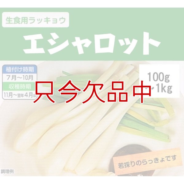 エシャロット（生食用ラッキョウ）