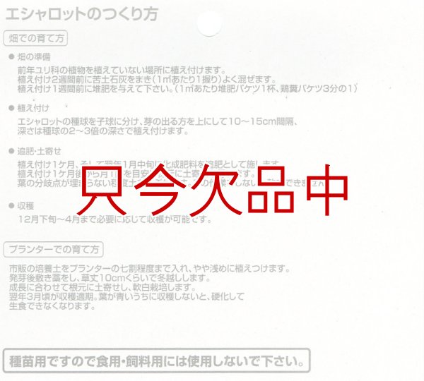 エシャロット（生食用ラッキョウ）