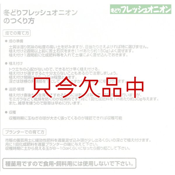 冬どりフレッシュオニオン