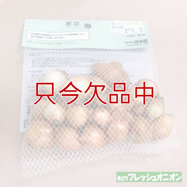 冬どりフレッシュオニオン