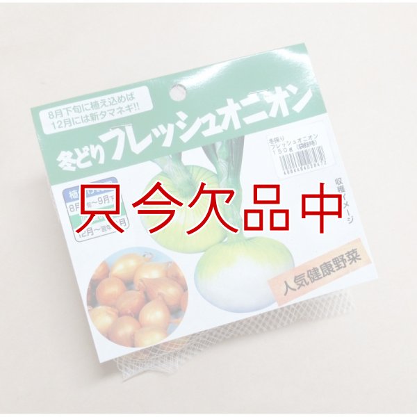 冬どりフレッシュオニオン