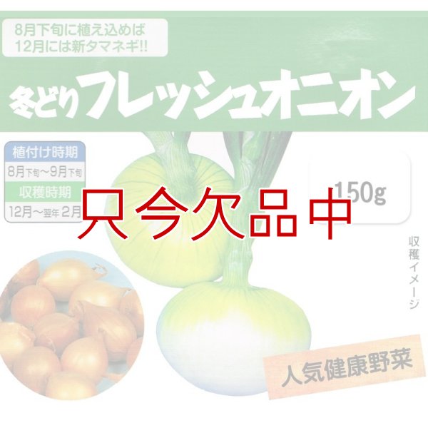 冬どりフレッシュオニオン