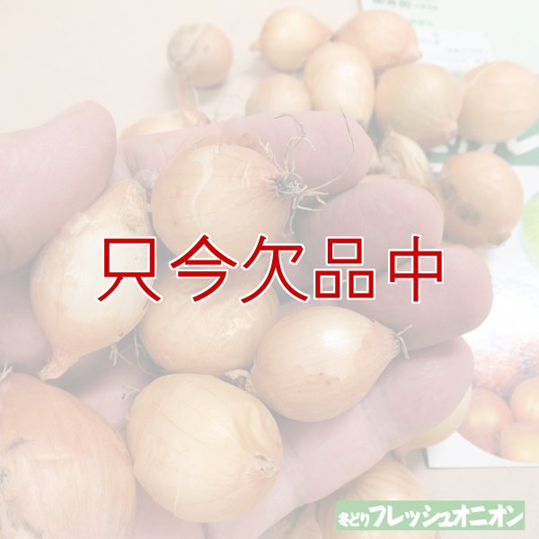 冬どりフレッシュオニオン