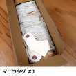 XpressTags マニラタグ（荷札）紐付き＃【箱売り】マニラタグ（荷札）紐付き＃１１【1000枚入り】