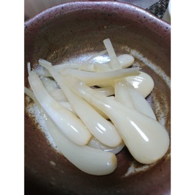 画像2: [予約受付中・2025年7月出荷品]【沖縄産】沖縄 島らっきょ【100g】沖縄健康野菜（栽培用種球）※この商品は単独でご注文ください。