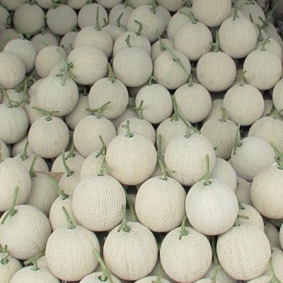 画像1: フィッシュエース（有機86％）N7-P8-K5-Mg2【20kg】魚エキス入り有機ペレット肥料【個人名あて配送OK】